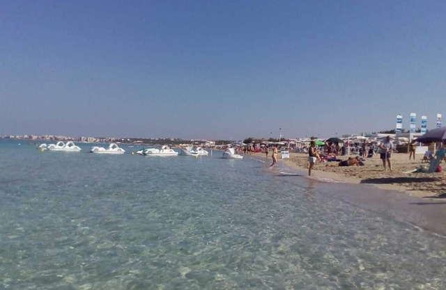 The Arabian Phoenix for a relaxing vacation