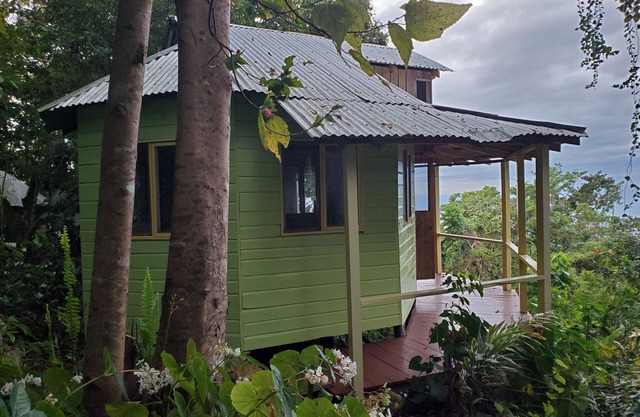 The Artist cabin is a mountain cabin overlooking the sea and coastline