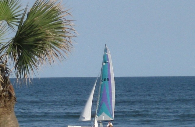 The Beautiful Gulf of Mexico Steps from the Front Door