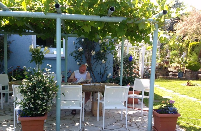 The blue house (Lilie apartment) with pool on the southern wine route
