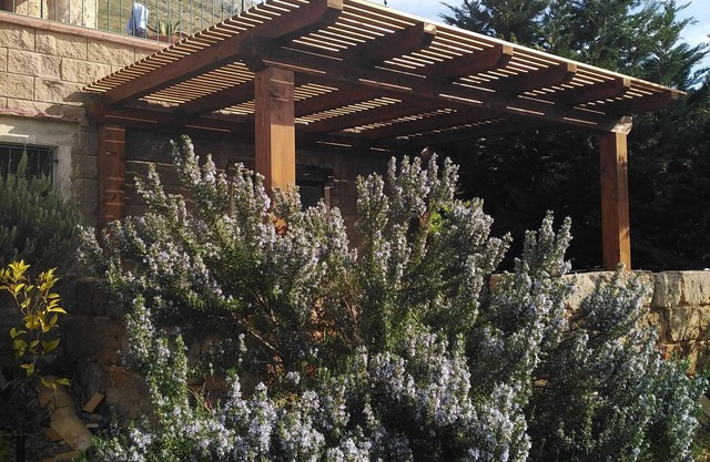 the blue strawberry tree apartment