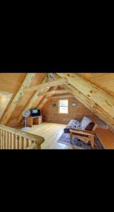 The blueridge cabin
