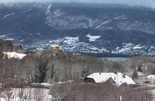 the Bluffy bear cabin Annecy between lake and mountains