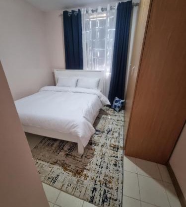 The Boma Yangu Apartments Block A -fast WIFI, near CBD- Nairobi