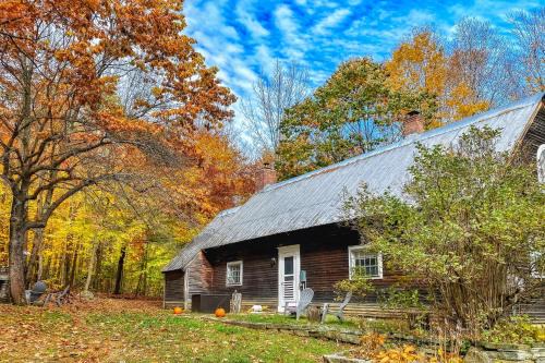 The Brown House