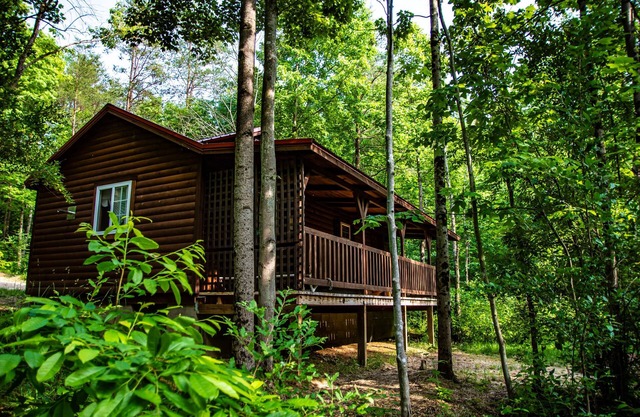 The Buckeye Fans dream Getaway