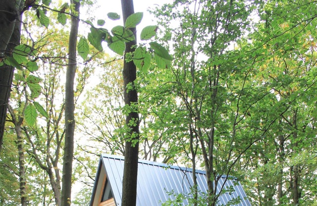The chalet of wood Ruminghem
