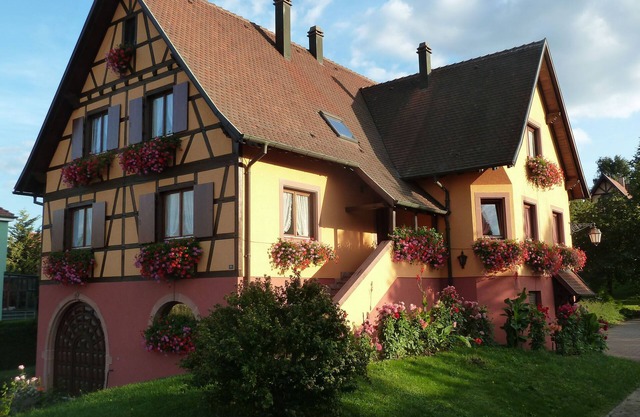The Chestnut tree. Traditional Alsace house. View of the vineyard and St Odile