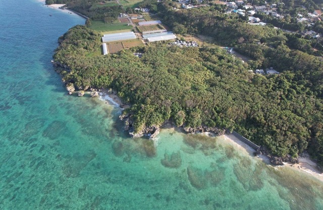 The Churaumi Aquarium is nearby Additional people/Kunigami-gun Okinawa