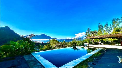 The Cliff Villa