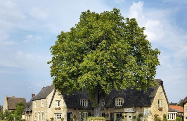 The Crown Inn
