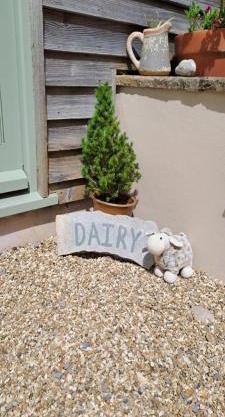 The Dairy at Wyke Farm
