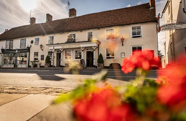 The Dog & Bear Hotel
