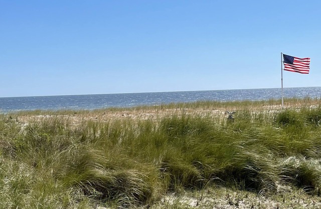 The Dunes of Ship Bottom