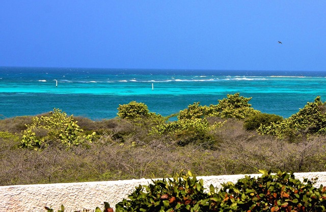 The Famous Baby Beach Vacation Home in Aruba!