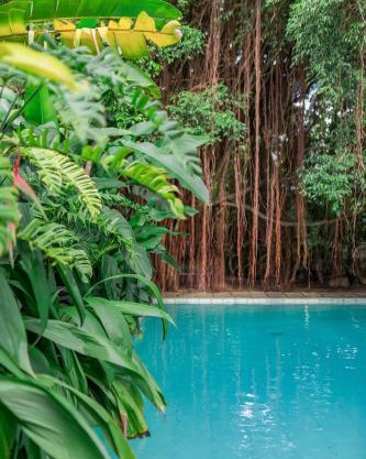 The Fern Cove Villa - Colombo