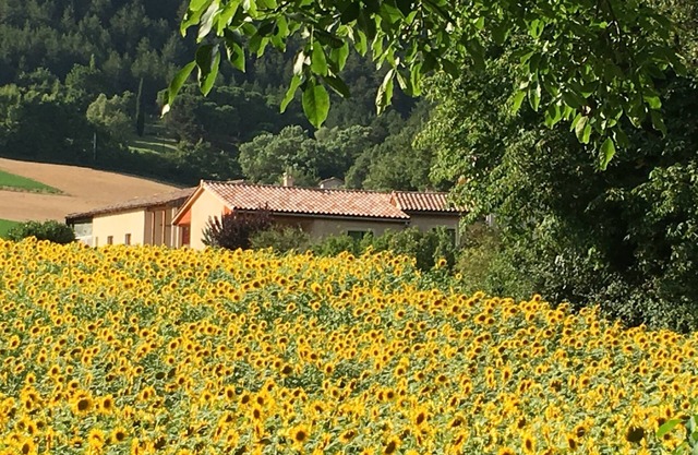 The gite de Valérie is located in the Drôme valley, in the Vercors park