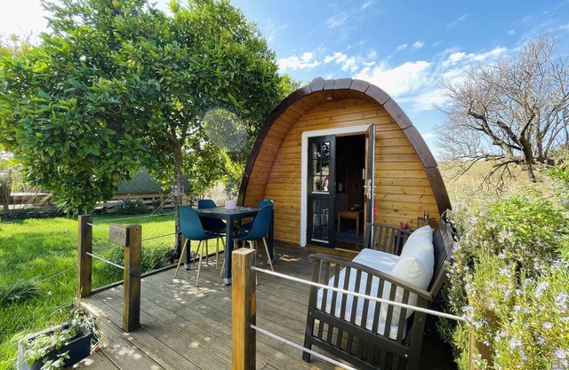 The Gold Pod, Relax and Enjoy on a Glamping House