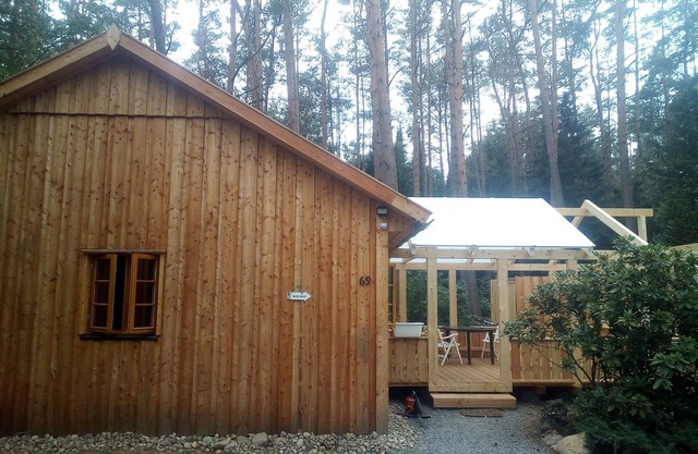 The holiday home "Ortheide 69" is located in a forest settlement with large trees.