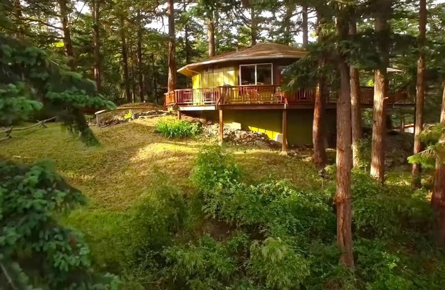 The Island Treehouse