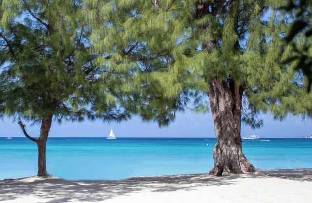 The Islands Club
