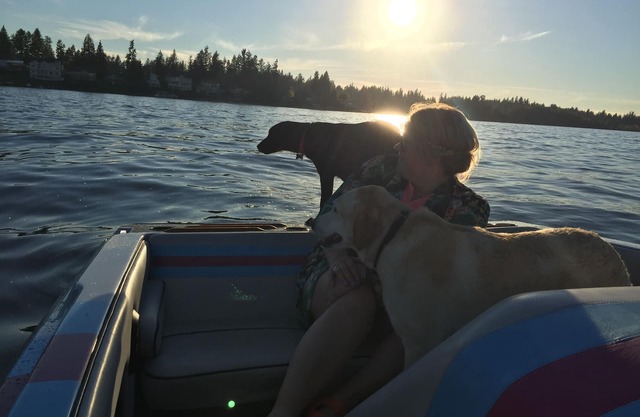 The Lake Tapps Waterfront HideawaynFamilynPet-Friendly, Warm hot tub, Lake Life!