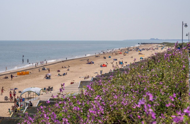 The Lavender Shack, Broome, Norfolk