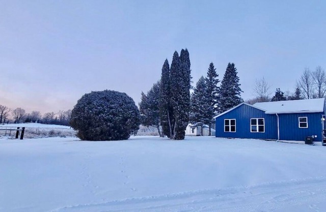 The Lil Blue Wood Cabin in the Woods!