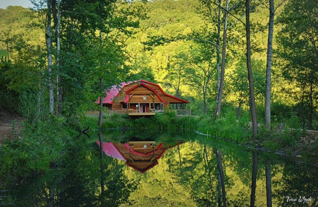 THE LUXURY CABIN IN THE WOODS