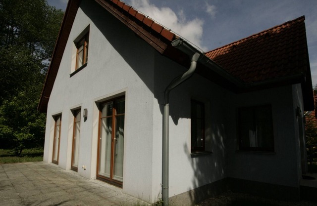 The luxury house with fireplace