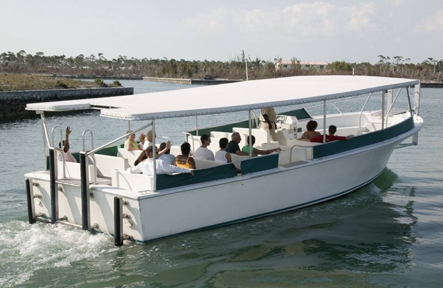 The Marlin at Taino Beach