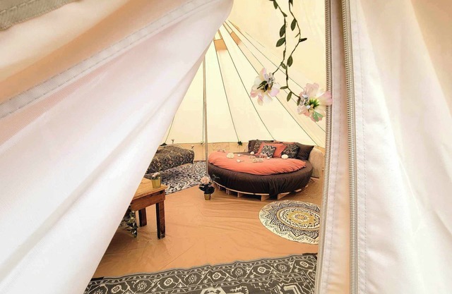 The Meadow Bell Tent - Glamping in a Wild Orchard near Fredericton, NB!