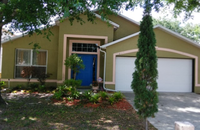The Mouse`s neighbor studio near Disney