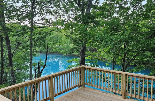 The Overlook Cabin at The Oasis