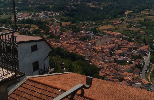 the panoramic house of memories