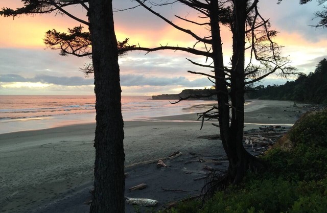 The Ramble On Oceanfront A-Frame Pet Friendly