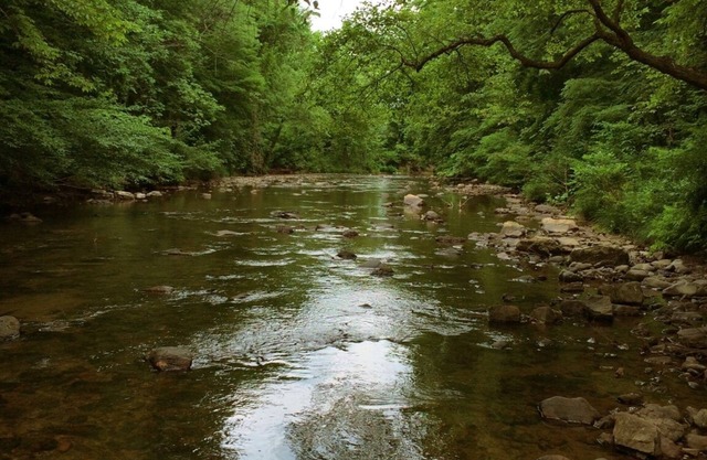 The Rock Great Secluded Cabin for Fishing Hiking Swimming on 200 Acres