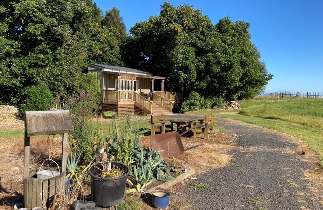 The Treehut