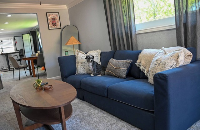 The Urban Oasis: Pet-friendly, Full Kitchen, Pool, Office Space!