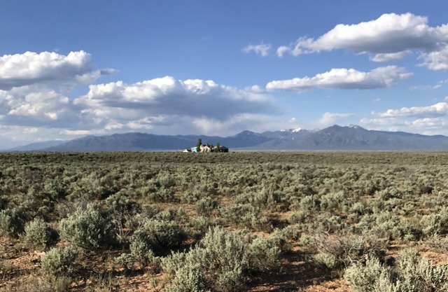 The Woman, The Rabbit and the Moon Ranch