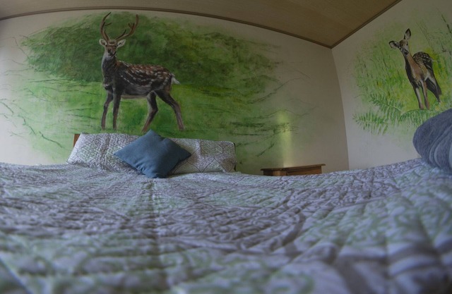 Thematic Forest suite| into the authentic rainforest close to the ARENAL VOLCANO