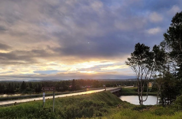 This Lil Apartment - Stay Close to Airport, Beach, and Gros Morne Adventures