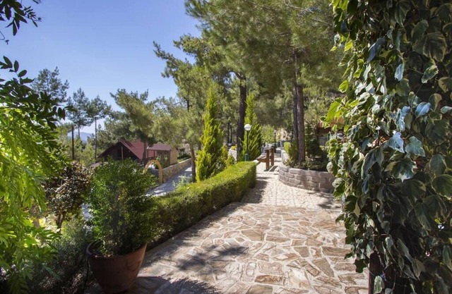 Three charming log cabins in a gated property at the beautiful Troodos mountain r