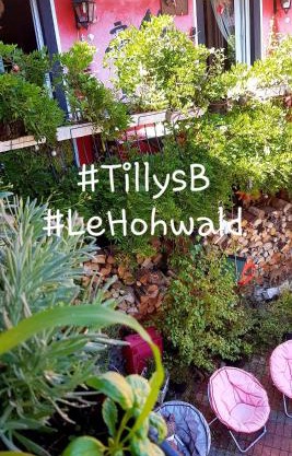 Tilly's B&B and apartment house