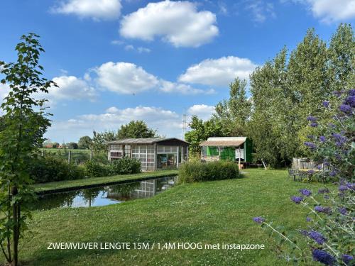 Tiny house at the ecological swimming pool