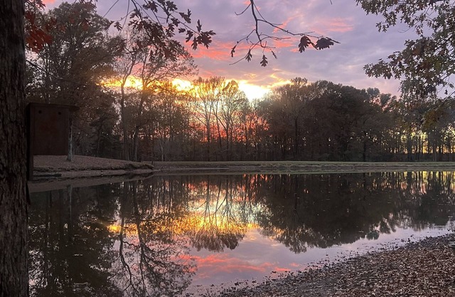 TinyLakeEscape,Hot Tub near Memphis in Fayette County