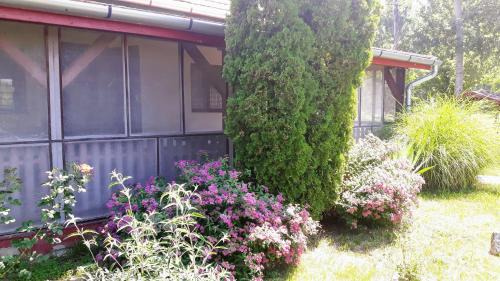 Tiszai Vándor Apartmanház