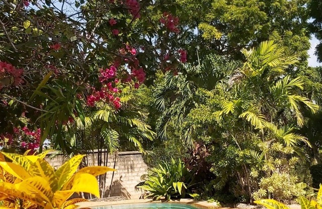Tiwani Sunset Cottage - a little piece of Eden in Tiwi, Kenya