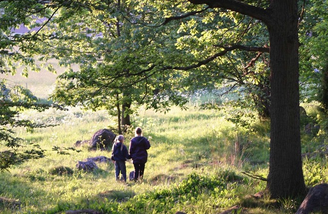 Tjärö