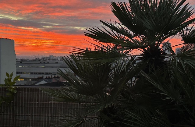 Top floor apartment 78 m2 air-conditioned, Terrace 50 m2, 2 bedrooms, parking